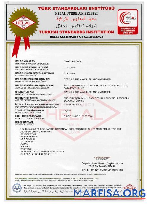 Blank Turkish Standards Institution certificate 1 template